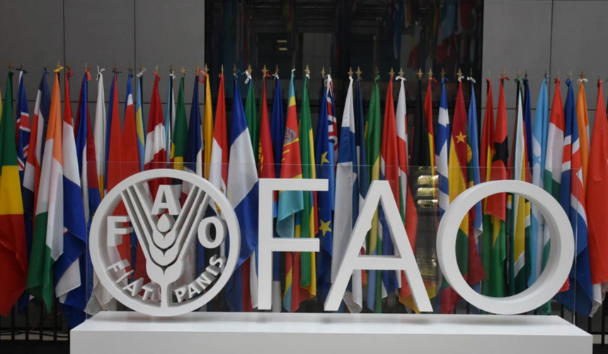 FAO will host a technical meeting on the Global Framework on Water Scarcity in Agriculture (WASAG), 29-30 April 2024, Rome & online